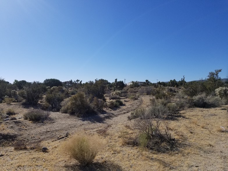 More Photos Of 1998 Highway 138, Pinon Hills Land For Sale