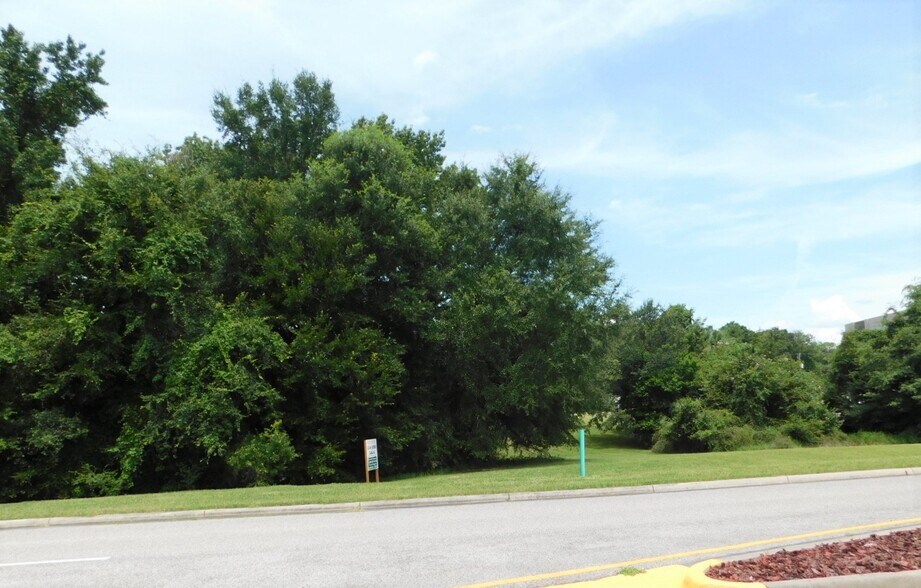 More Photos Of 252 NW Cali Dr, Lake City Land For Sale