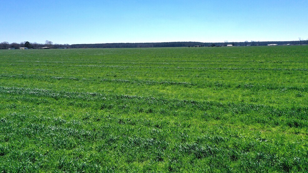 More Photos Of Lot 14 Davis Pond Rd rd, Atmore Land For Sale