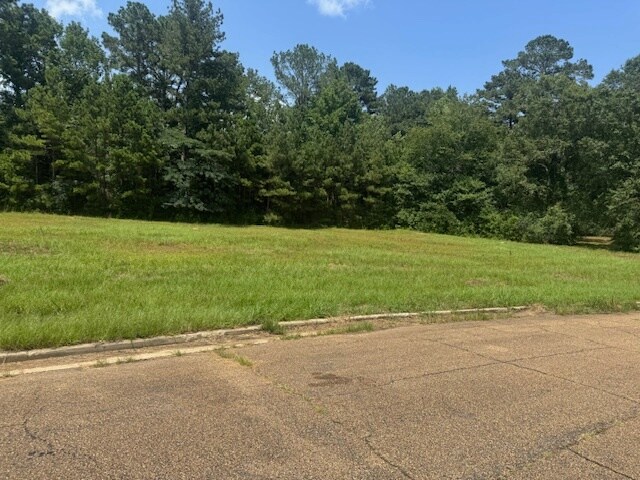 Primary Photo Of Parklane Rd, Mccomb Land For Sale