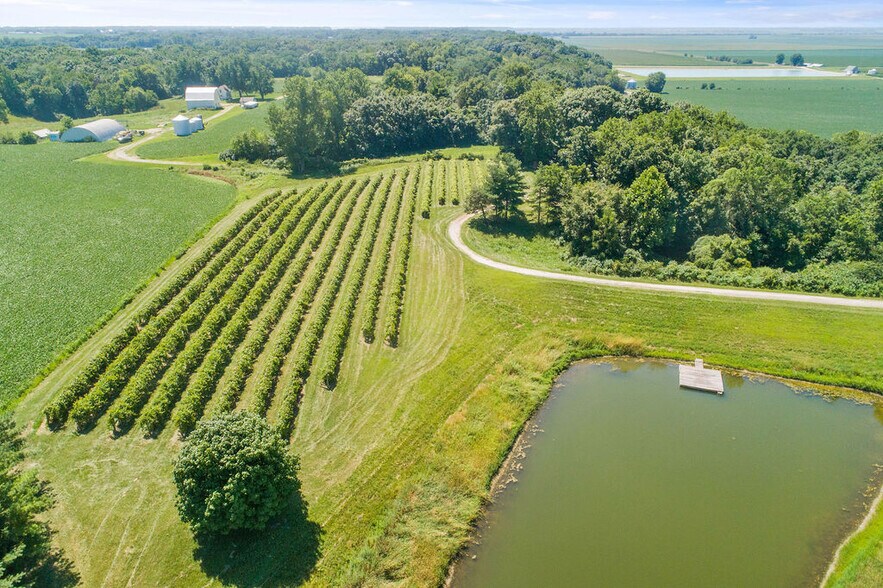 More Photos Of 2211 E 640th Pl, Ursa Winery Vineyard For Sale