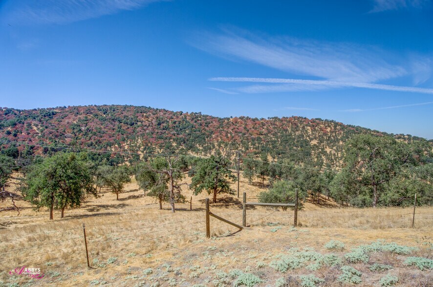 More Photos Of 14718 CA-155 Hwy, Glennville Land For Sale