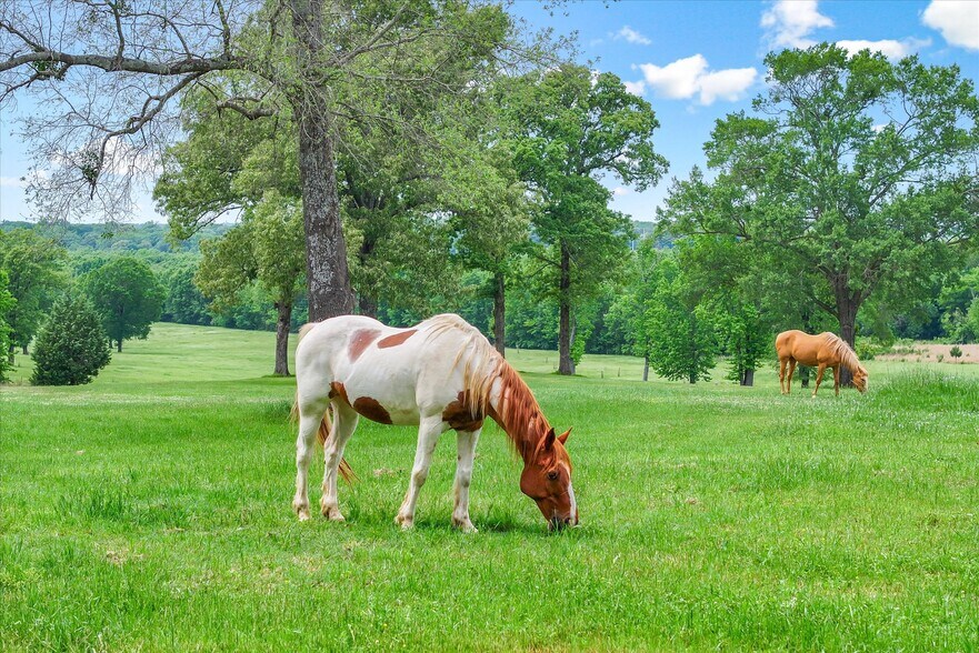 More Photos Of 1972 FM 857, Grand Saline Trailer Camper Park For Sale
