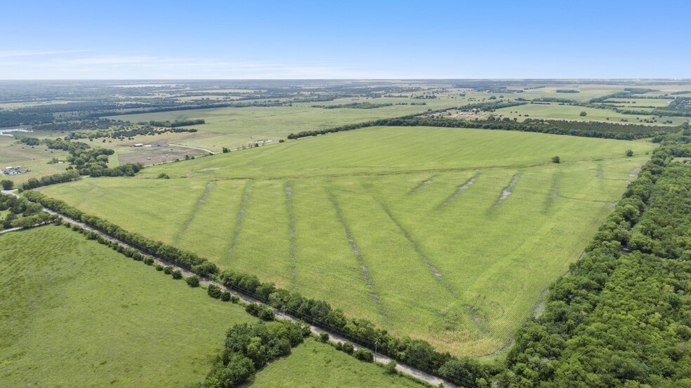 More Photos Of CR-1067, Greenville Land For Sale