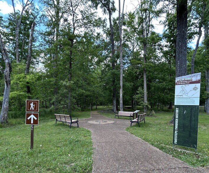 More Photos Of 3176 Summertown Hwy, Summertown Land For Sale