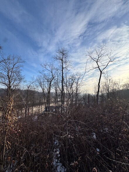 More Photos Of Willis Lane, Pea Ridge Land For Sale