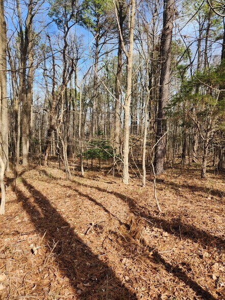 More Photos Of Lot 69 Plantation, Montross Land For Sale