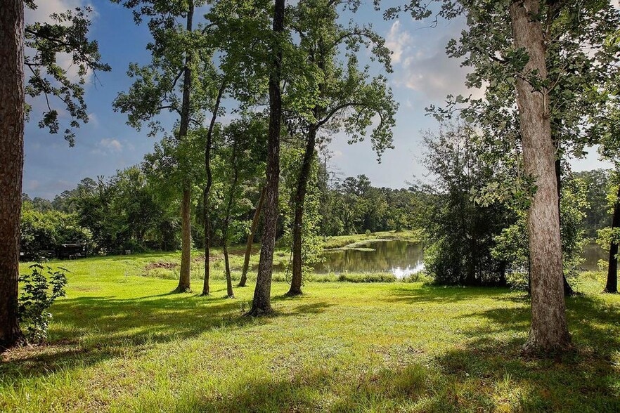 More Photos Of 25126 Gosling Rd, Spring Land For Sale
