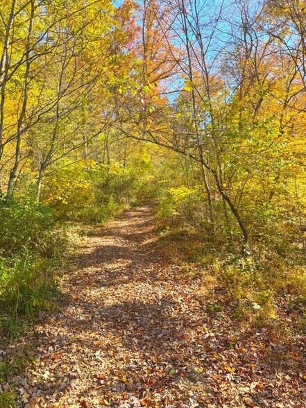 More Photos Of 0 Sewell Creek Rd, Meadow Bridge Land For Sale