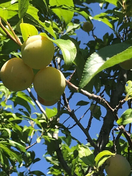 More Photos Of 157 Hergenrider Rd, Bridger Land For Sale