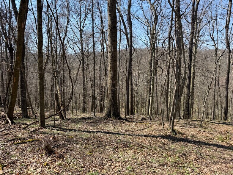 More Photos Of 0 Kragel Rd, Wintersville Land For Sale