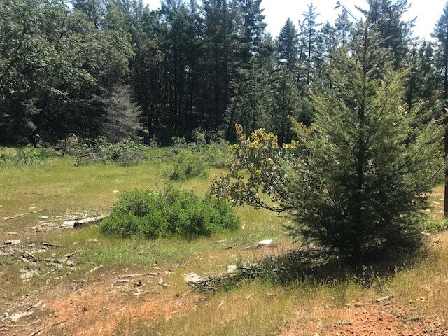 More Photos Of Canyon Creek Drive -1 @ Canyon Way, Colfax Land For Sale