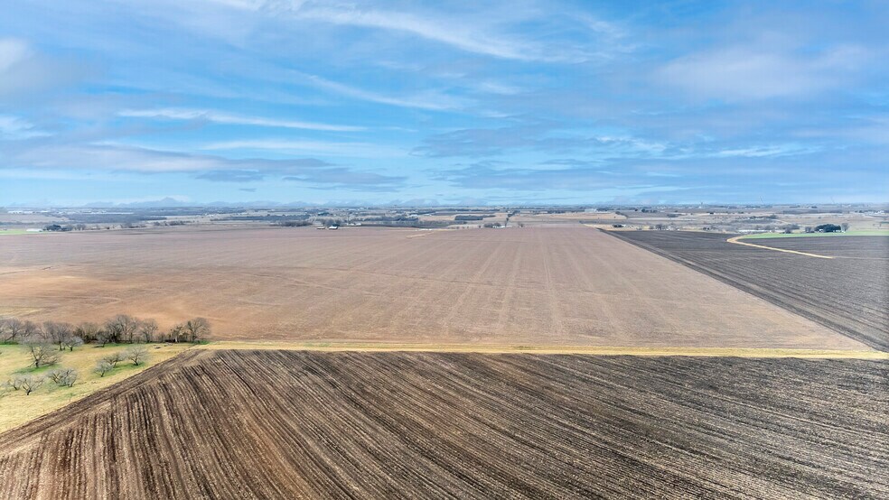 More Photos Of 1051 CR 369, Taylor Land For Sale