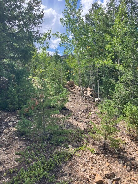 Primary Photo Of 7 Miners Rd, Black Hawk Land For Sale