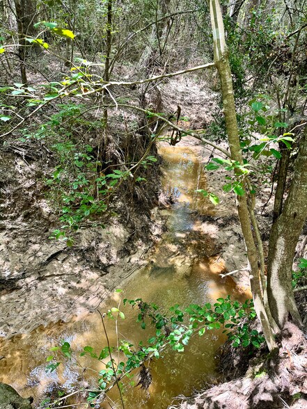 More Photos Of 0 Slim Palmer Road, Zavalla Land For Sale