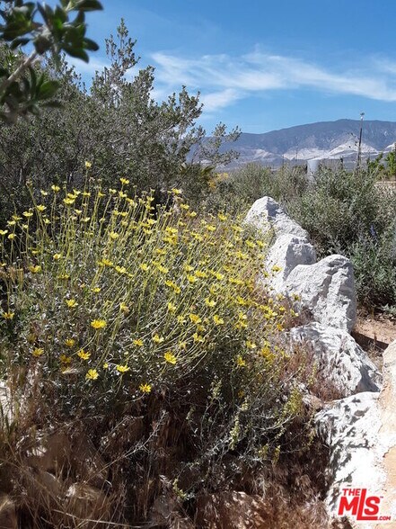More Photos Of 9025 Camp Rock Rd, Lucerne Valley Veterinarian Kennel For Sale