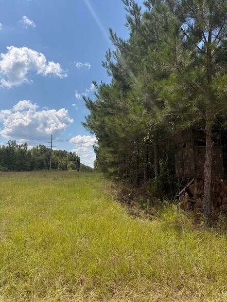 More Photos Of 333 Samuel Dr, Springfield Land For Sale