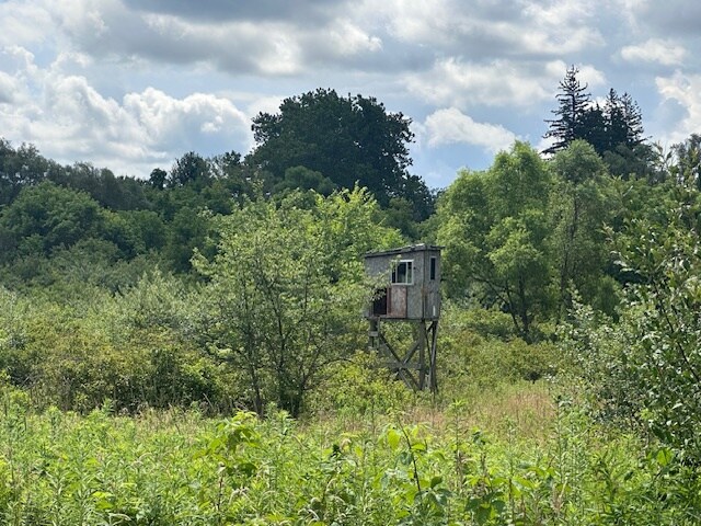 More Photos Of 1933 State Route 45, Austinburg Storefront For Sale