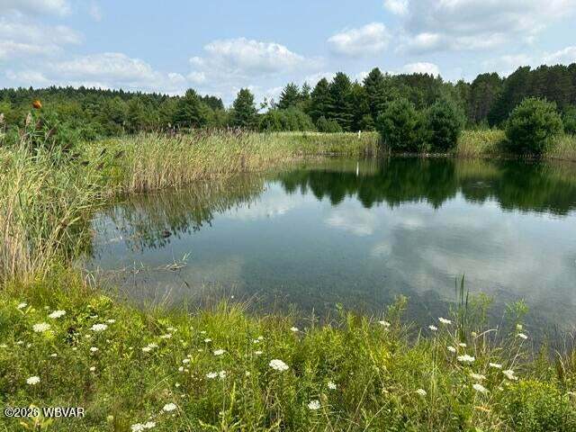 More Photos Of Beech Creek Mountain Rd, Beech Creek Land For Sale