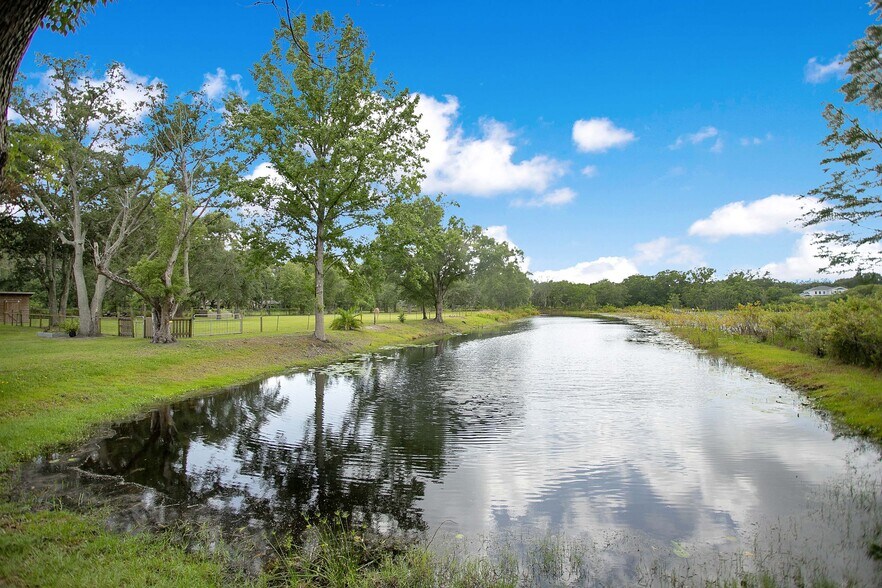 More Photos Of 19616 Livingston Ave, Lutz Land For Sale