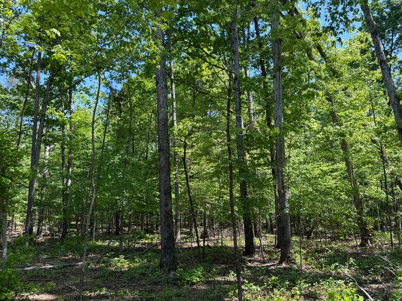 More Photos Of Hidden Harbor Road road, Lincolnton Land For Sale