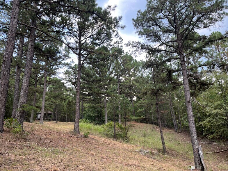 More Photos Of 27546 Reservation Rd, Daisy Land For Sale