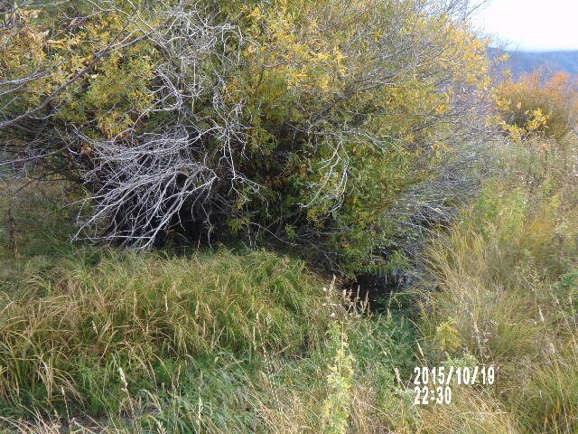 More Photos Of Vacant Highway 285, Villa Grove Land For Sale