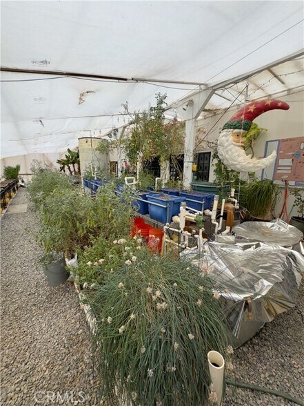 More Photos Of 691 Desert Trail Way, Tecopa Winery Vineyard For Sale