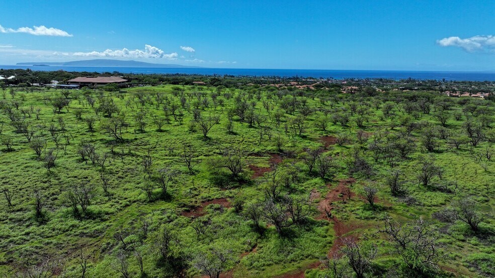 More Photos Of Maui Lipoa, Kihei Land For Sale