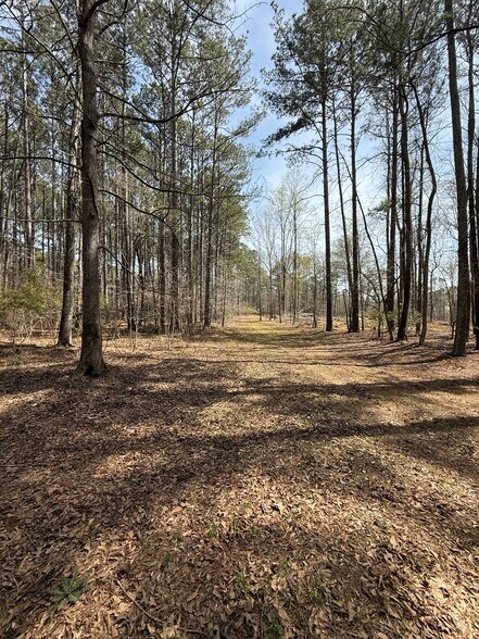 More Photos Of Sugar Creek Trail, Buckhead Morgan Land For Sale
