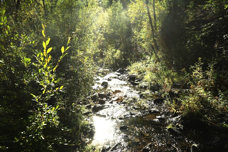 More Photos Of TBD Cutting Mine Road, Lead Land For Sale