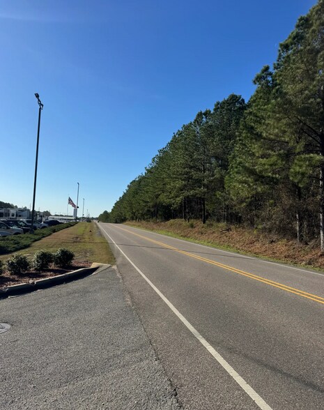 Primary Photo Of 53 Acres On George Roy Pky, Calera Land For Sale