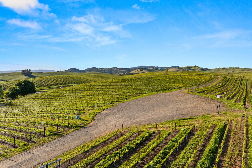 More Photos Of 2750 Las Amigas Rd, Napa Winery Vineyard For Sale