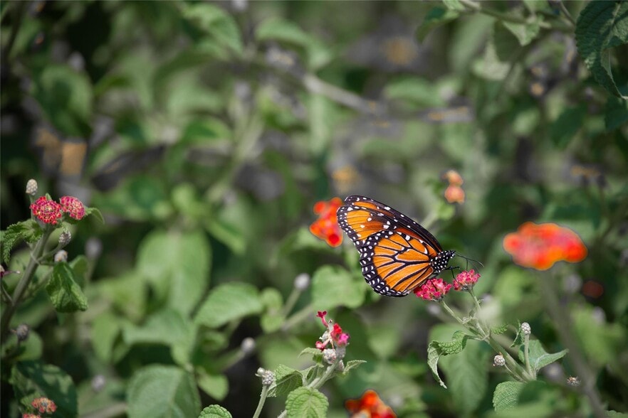More Photos Of 301 E Brown St, San Saba Freestanding For Sale