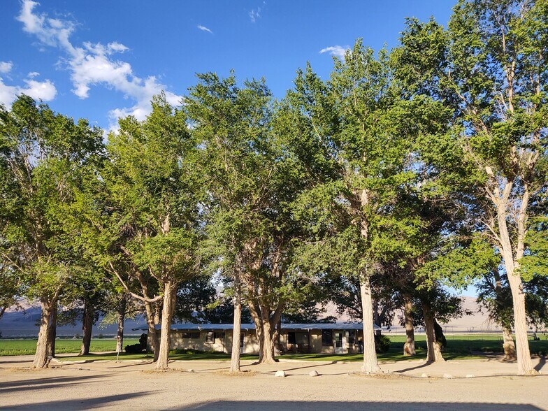 More Photos Of Fish Lake Valley, Dyer Land For Sale