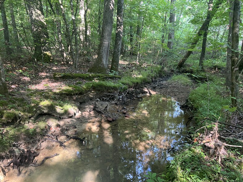 Primary Photo Of Nicklesville Road, Ranger Land For Sale