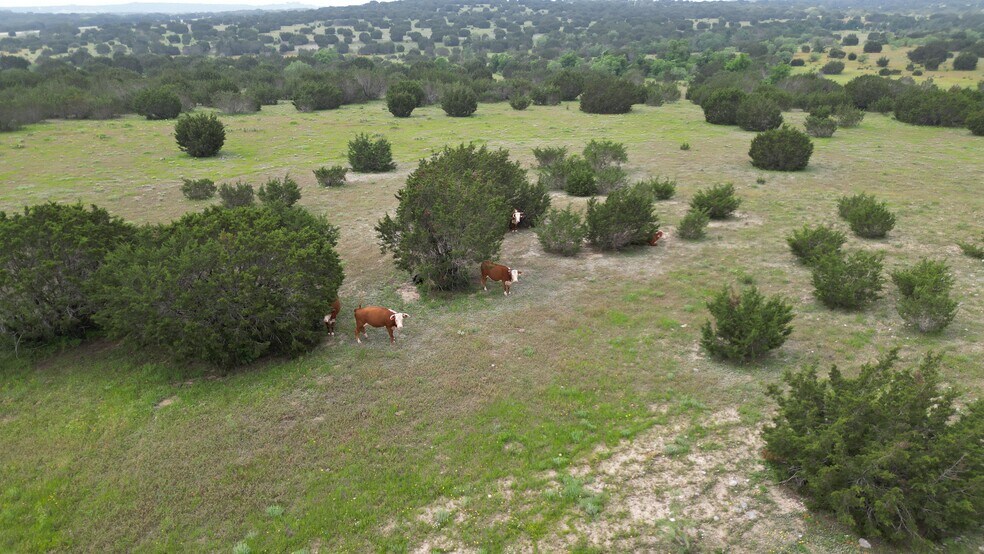 More Photos Of Highway 281, Lampasas Land For Sale