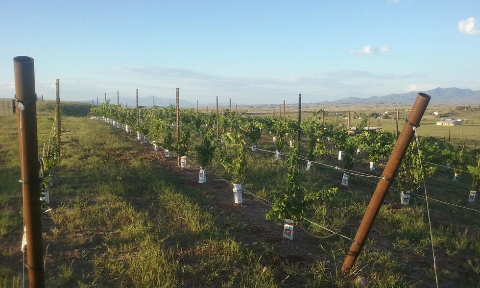 More Photos Of 68 Harvest Dr, Sonoita Land For Sale