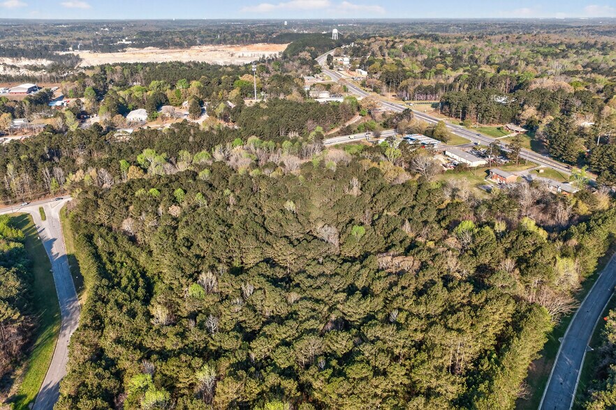 More Photos Of 138 E Highway At Lanier Xing, Stockbridge Land For Sale