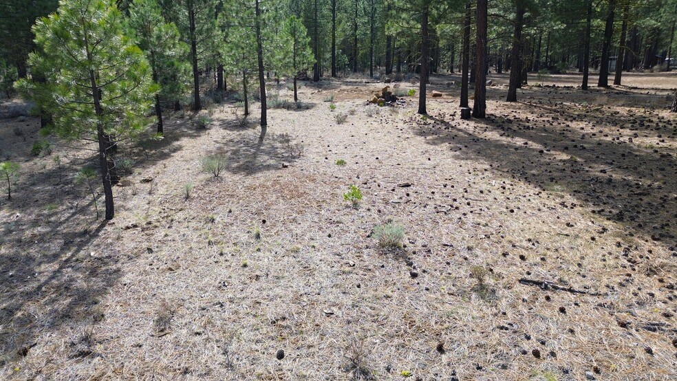 More Photos Of 42451 Blue Heron cir, Old Station Land For Sale