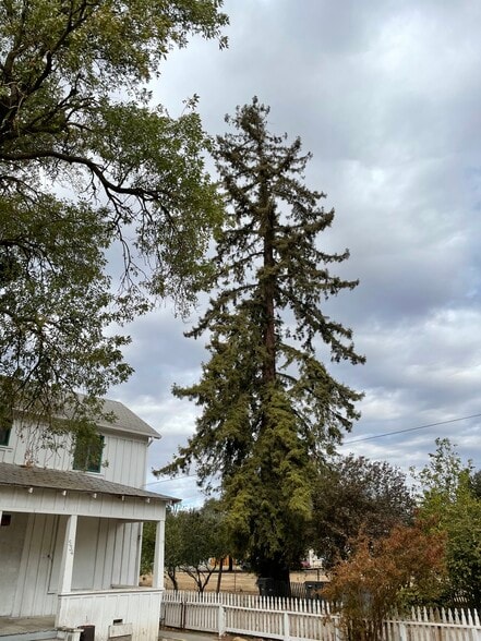 More Photos Of 534 Johnston St, Woodland Land For Sale