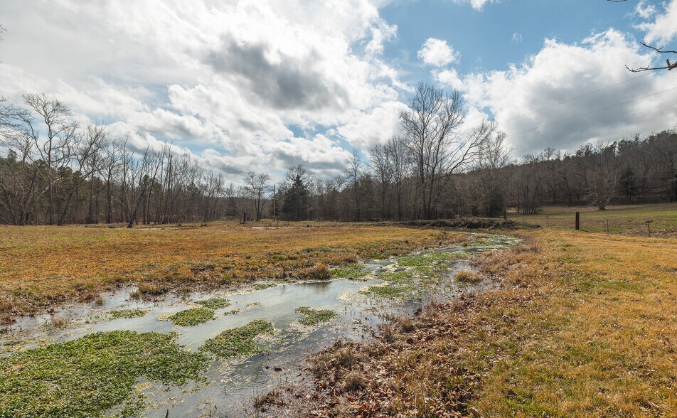 More Photos Of 3385 County Road 5615, Bunker Land For Sale