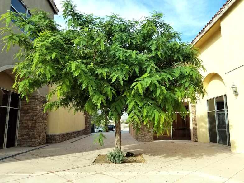 More Photos Of 901 Crossley Rd, Palm Springs Unknown For Lease
