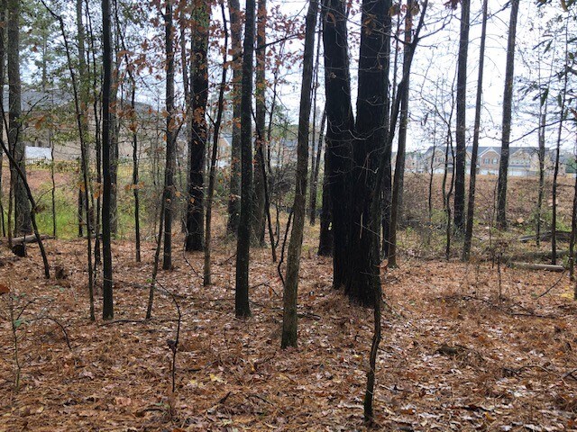 More Photos Of 241 Paper Mill Rd, Lawrenceville Land For Sale