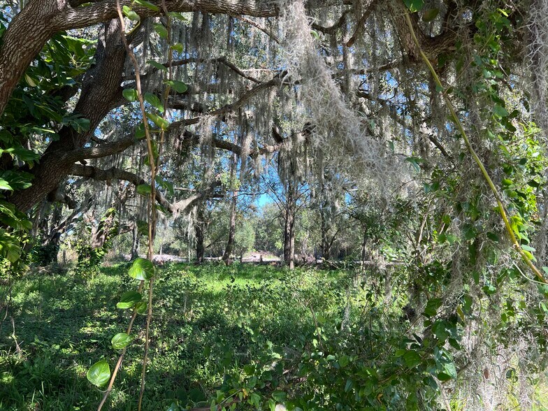 More Photos Of 6613 Simmons Loop, Riverview Land For Sale