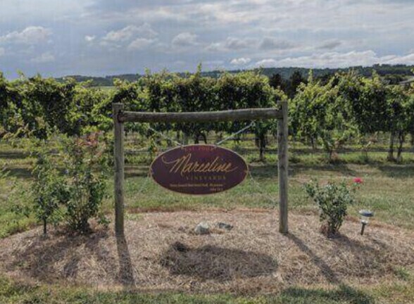 More Photos Of 5887 Cross Keys Rd, Mount Crawford Winery Vineyard For Sale