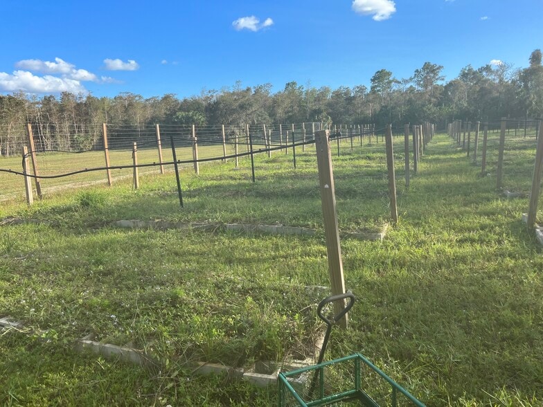 More Photos Of 20948 Corkscrew Rd, Estero Winery Vineyard For Sale