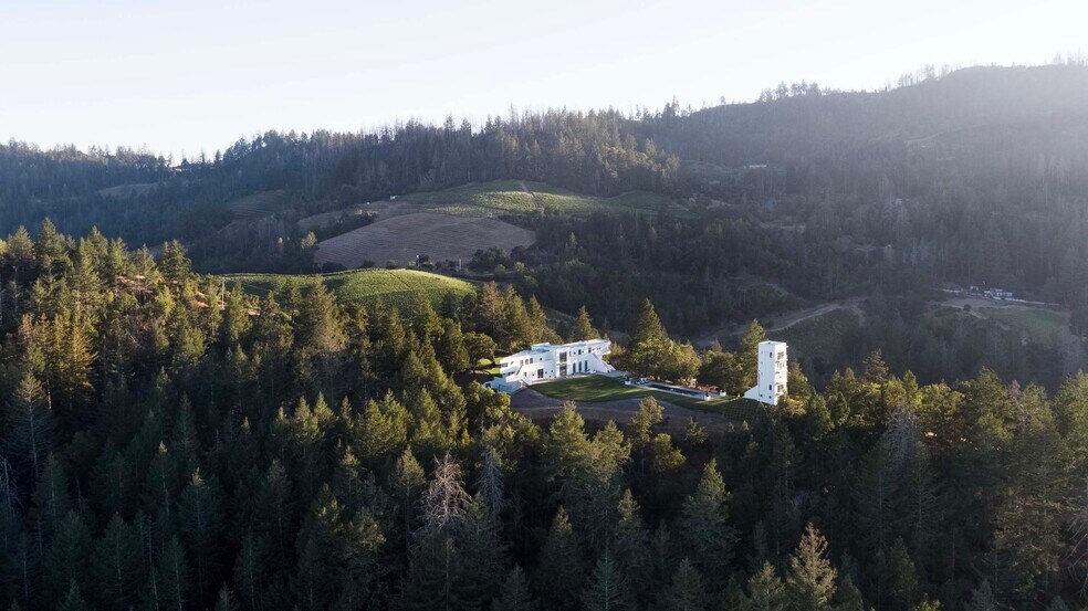 More Photos Of 3000 Mount Veeder Rd, Napa Winery Vineyard For Sale