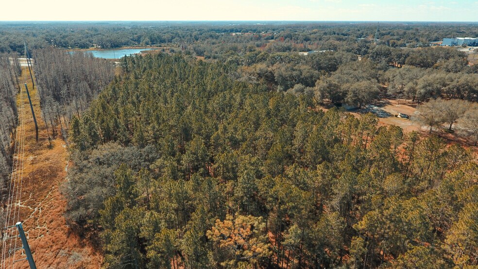 More Photos Of 30607 State Road 54, Wesley Chapel Land For Sale