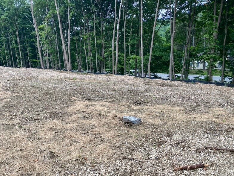 More Photos Of 3995 Danbury Rd, Brewster Village Land For Sale